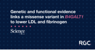  Science publication: Genetic and functional evidence links a missense variant in B4GALT1 to lower LDL and fibrinogen.