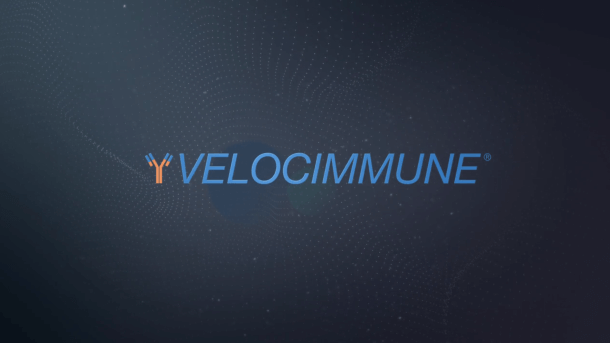  Video featuring the VelocImmune® logo.