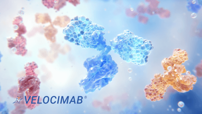 VelociMab® video.