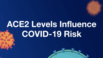 Video explaining how ACE2 levels can influence an individual's risk for COVID-19.