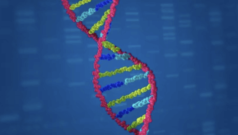 Video featuring a graphic of a DNA strand.